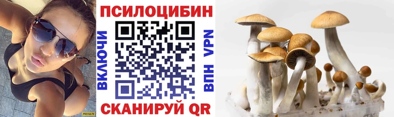 Псилоцибиновые грибы Magic Shrooms mega Нижнеудинск
