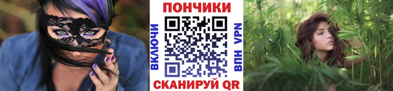 Марихуана конопля  где купить наркотик  гидра маркетплейс  Нижнеудинск 